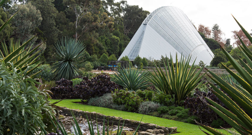 Adelaide Botanic Garden - Australia